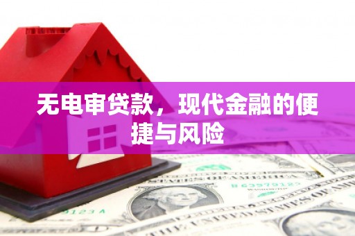 保税区无电审贷款，现代金融的便捷与风险