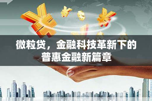 保税区微粒贷，金融科技革新下的普惠金融新篇章