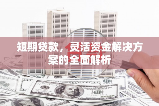 保税区短期贷款，灵活资金解决方案的全面解析