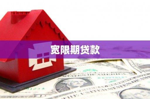保税区宽限期贷款