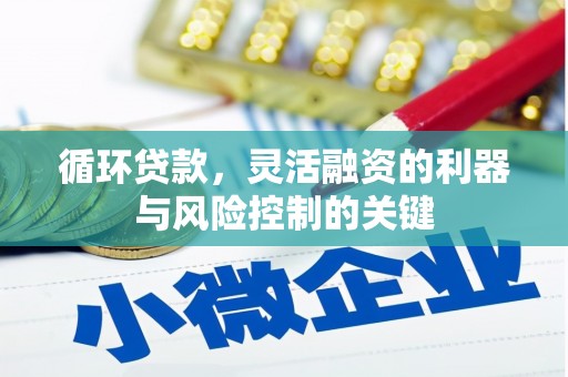 保税区循环贷款，灵活融资的利器与风险控制的关键