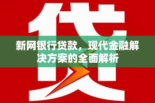 保税区新网银行贷款，现代金融解决方案的全面解析