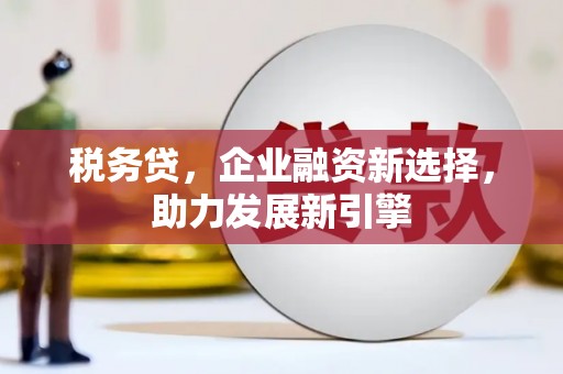 保税区税务贷，企业融资新选择，助力发展新引擎