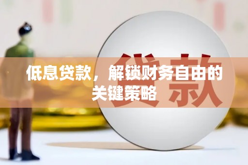 保税区低息贷款，解锁财务自由的关键策略