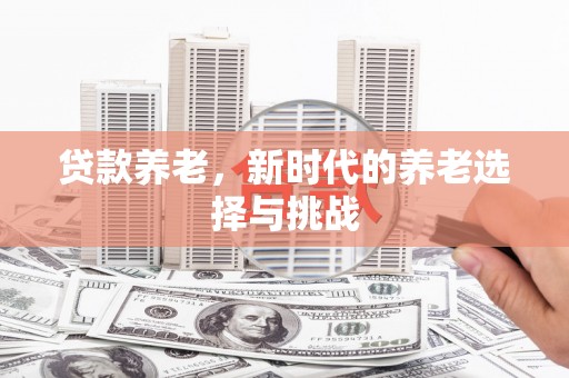 保税区贷款养老，新时代的养老选择与挑战