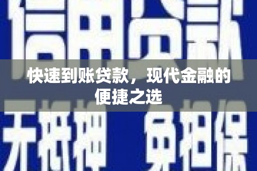 保税区快速到账贷款，现代金融的便捷之选
