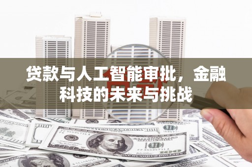 保税区贷款与人工智能审批，金融科技的未来与挑战