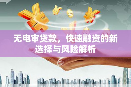 保税区无电审贷款，快速融资的新选择与风险解析