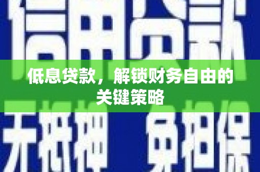 保税区低息贷款，解锁财务自由的关键策略