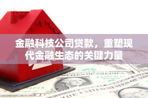 保税区金融科技公司贷款，重塑现代金融生态的关键力量