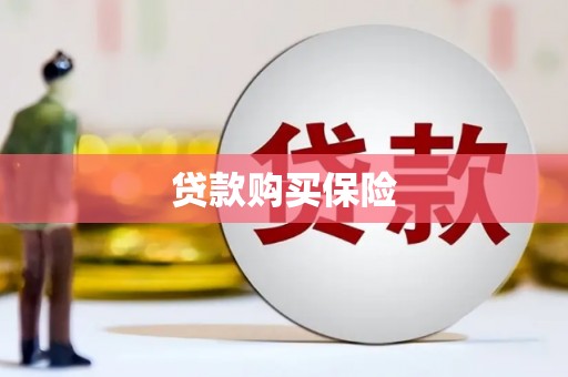 保税区贷款购买保险