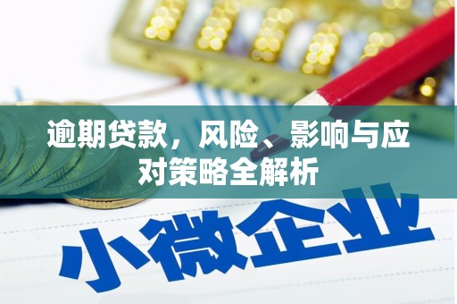 保税区逾期贷款，风险、影响与应对策略全解析