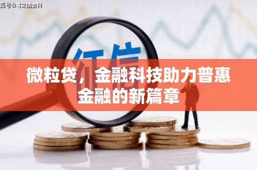 保税区微粒贷，金融科技助力普惠金融的新篇章
