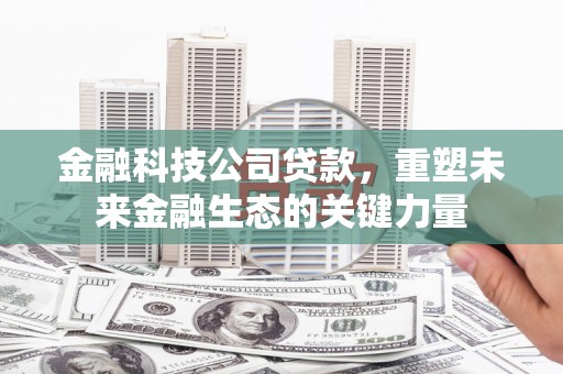 保税区金融科技公司贷款，重塑未来金融生态的关键力量