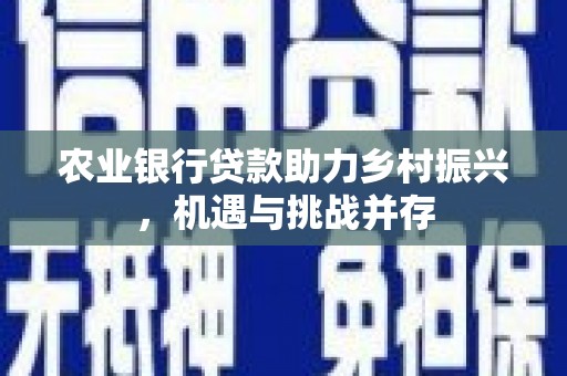 保税区农业银行贷款助力乡村振兴，机遇与挑战并存
