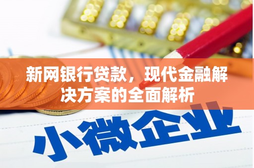 保税区新网银行贷款，现代金融解决方案的全面解析