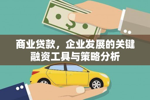 保税区商业贷款，企业发展的关键融资工具与策略分析