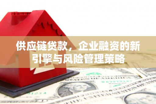 保税区供应链贷款，企业融资的新引擎与风险管理策略