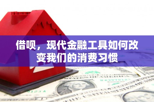 保税区借呗，现代金融工具如何改变我们的消费习惯