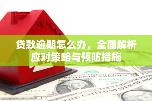 保税区贷款逾期怎么办，全面解析应对策略与预防措施