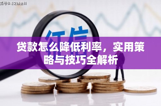 保税区贷款怎么降低利率，实用策略与技巧全解析