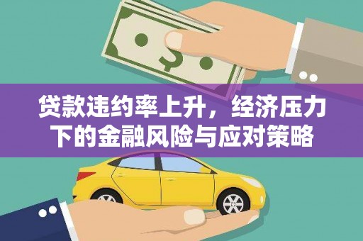 保税区贷款违约率上升，经济压力下的金融风险与应对策略