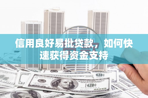 保税区信用良好易批贷款，如何快速获得资金支持