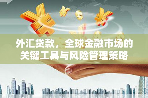 保税区外汇贷款，全球金融市场的关键工具与风险管理策略