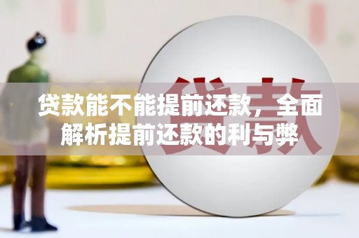 保税区贷款能不能提前还款，全面解析提前还款的利与弊