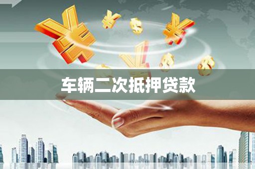 保税区车辆二次抵押贷款