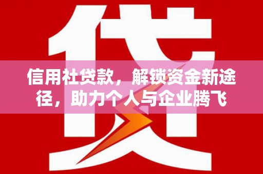 保税区信用社贷款，解锁资金新途径，助力个人与企业腾飞