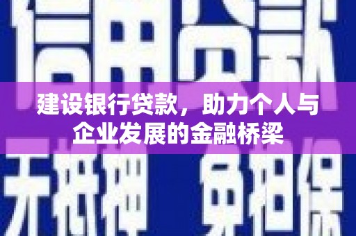 保税区建设银行贷款，助力个人与企业发展的金融桥梁