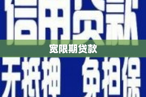 保税区宽限期贷款