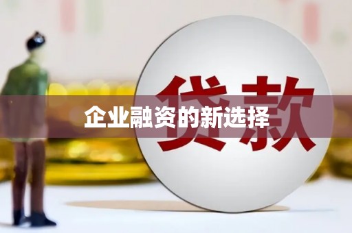 保税区企业融资的新选择