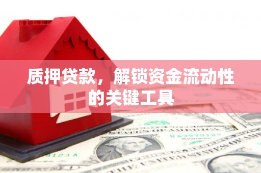 保税区质押贷款，解锁资金流动性的关键工具