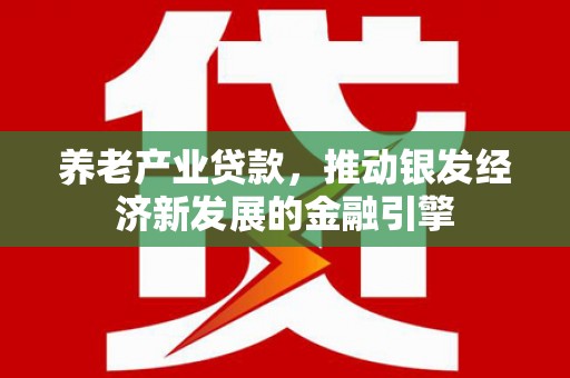 保税区养老产业贷款，推动银发经济新发展的金融引擎