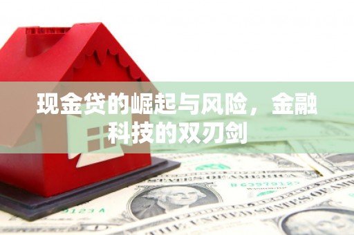 保税区现金贷的崛起与风险，金融科技的双刃剑