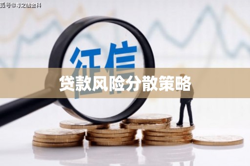 保税区贷款风险分散策略
