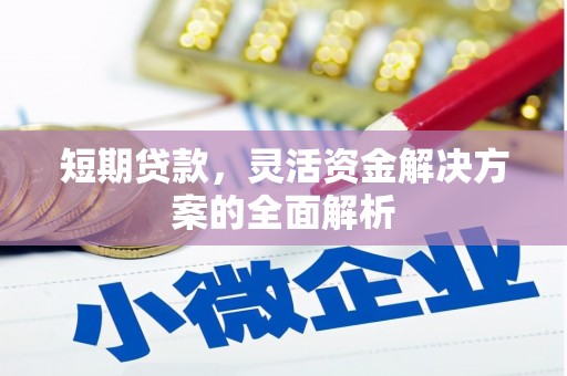 保税区短期贷款，灵活资金解决方案的全面解析