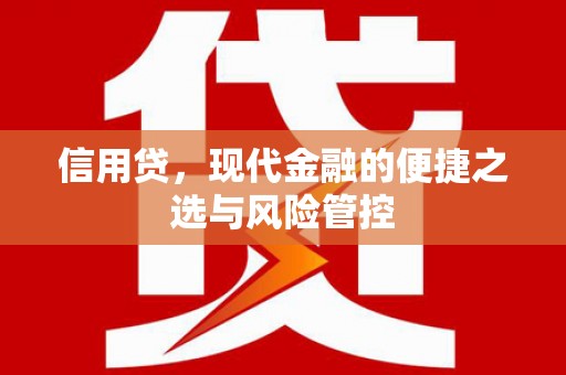 保税区信用贷，现代金融的便捷之选与风险管控
