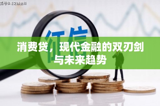 保税区消费贷，现代金融的双刃剑与未来趋势