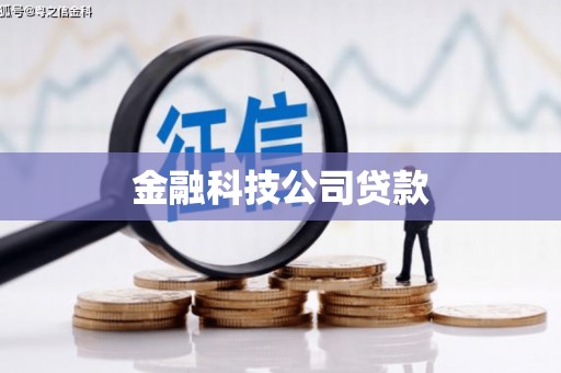 保税区金融科技公司贷款