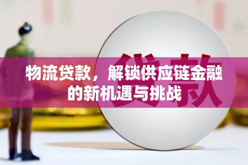 保税区物流贷款，解锁供应链金融的新机遇与挑战