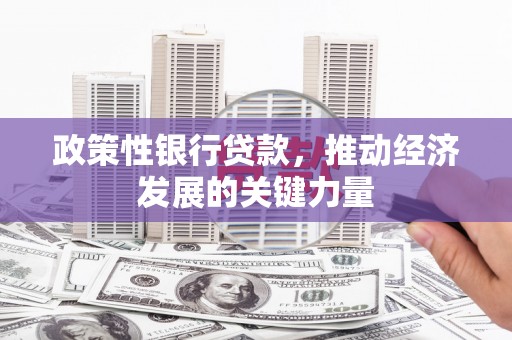 保税区政策性银行贷款，推动经济发展的关键力量