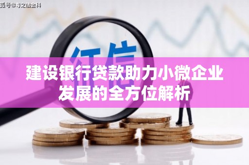 保税区建设银行贷款助力小微企业发展的全方位解析
