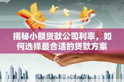 保税区揭秘小额贷款公司利率，如何选择最合适的贷款方案
