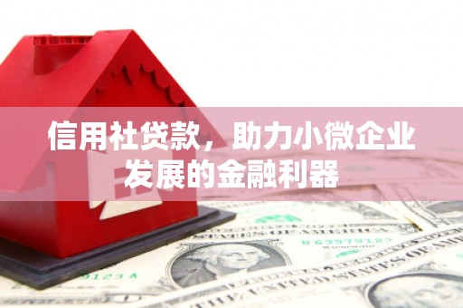 保税区信用社贷款，助力小微企业发展的金融利器