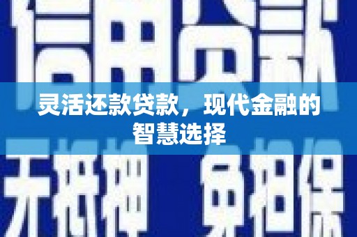 保税区灵活还款贷款，现代金融的智慧选择