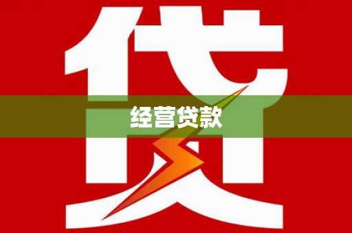 保税区经营贷款