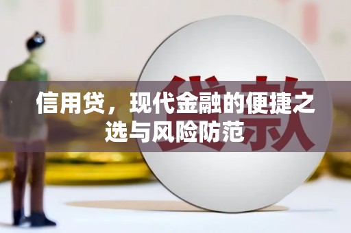 保税区信用贷，现代金融的便捷之选与风险防范